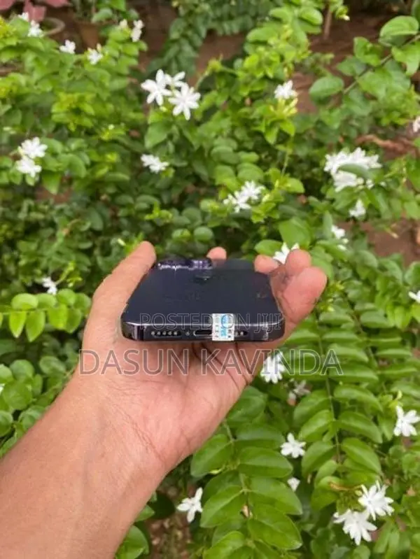 Apple iPhone 14 Pro (Used)