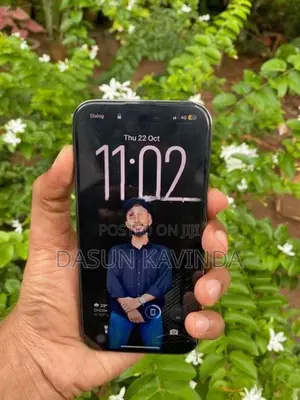 Apple iPhone 14 Pro (Used)