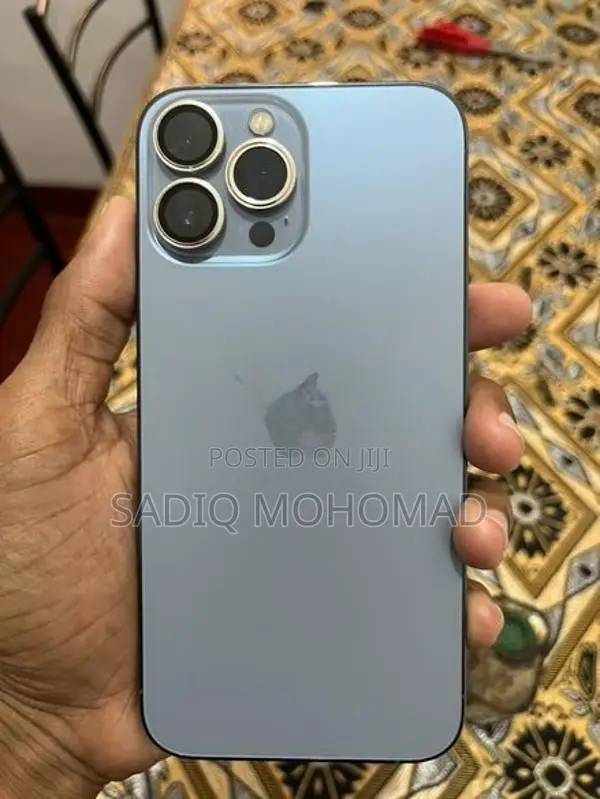 Apple iPhone 13 Pro Max (Used)