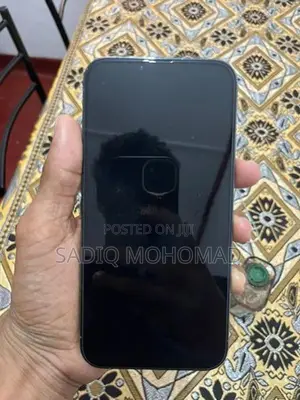 Apple iPhone 13 Pro Max (Used)