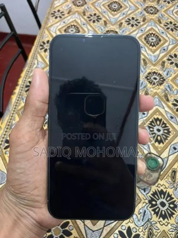 Apple iPhone 13 Pro Max (Used)