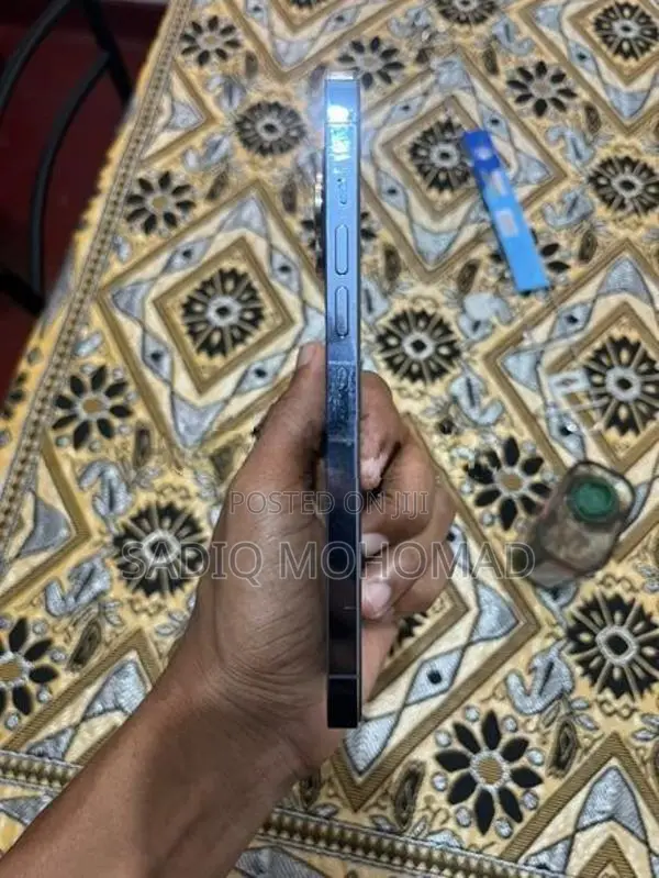 Apple iPhone 13 Pro Max (Used)
