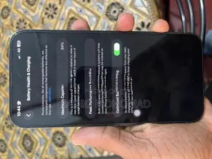 Apple iPhone 13 Pro Max (Used)