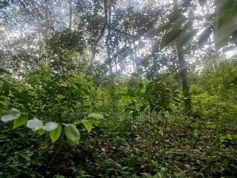 Land For Sale Kaluthara In Kalutara