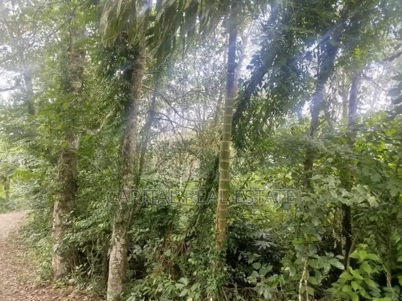 Land For Sale Kaluthara In Kalutara