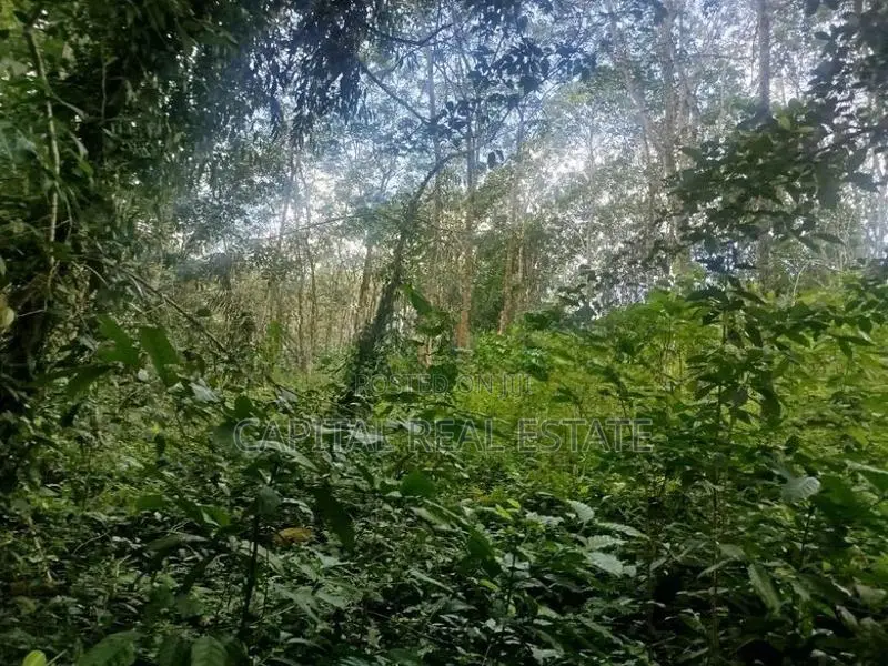 Land For Sale Kaluthara In Kalutara