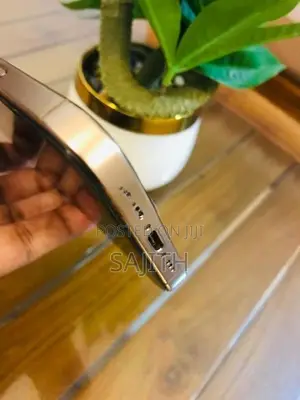 Apple iPhone 16 Pro 256GB (Used)