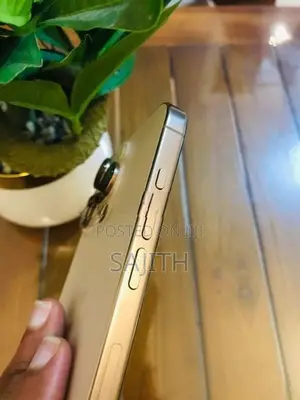 Apple iPhone 16 Pro 256GB (Used)