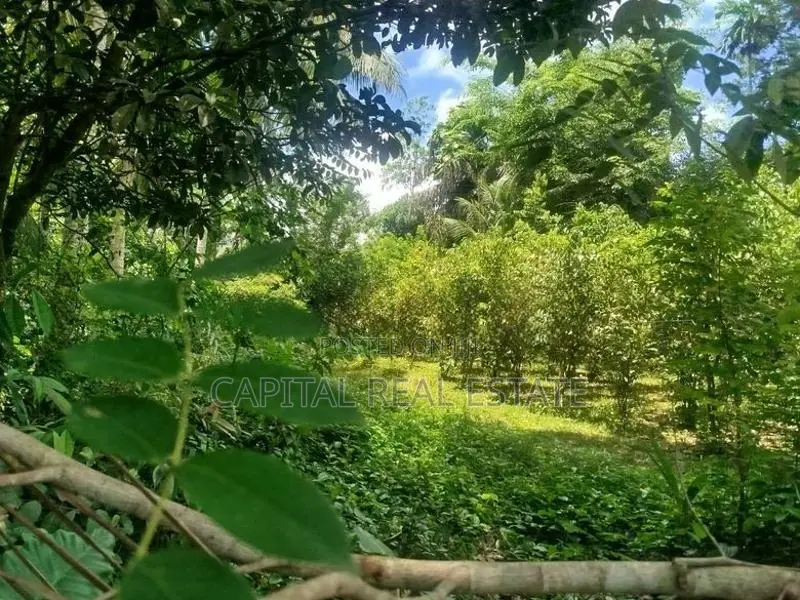 House With Land For Sale Kaluthara In Kalutara