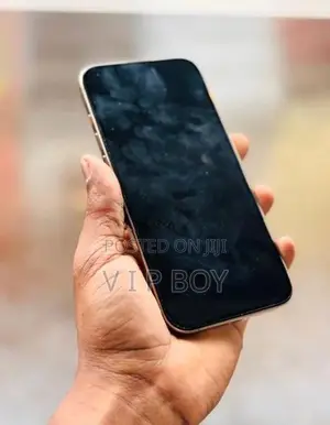 Apple iPhone 16 Pro Max (Used)