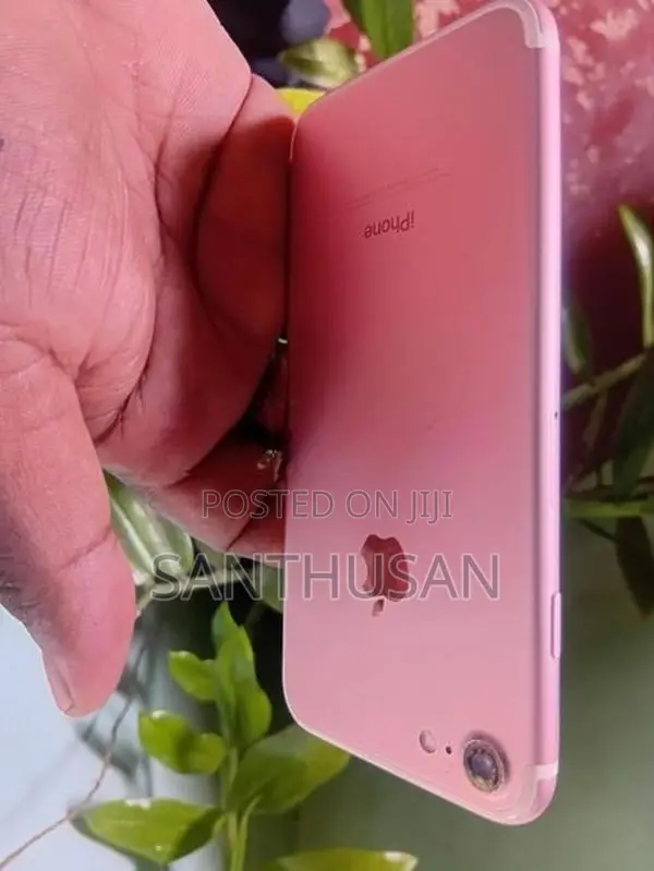 Apple iPhone 7 (Used)