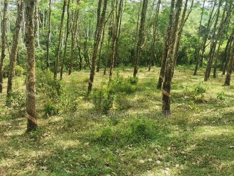 Land For Sale Horana