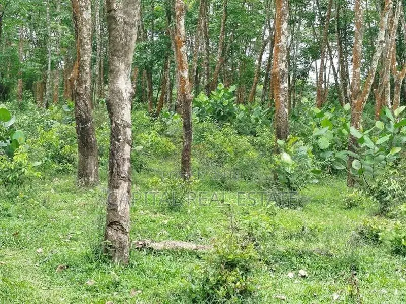 Land For Sale Horana