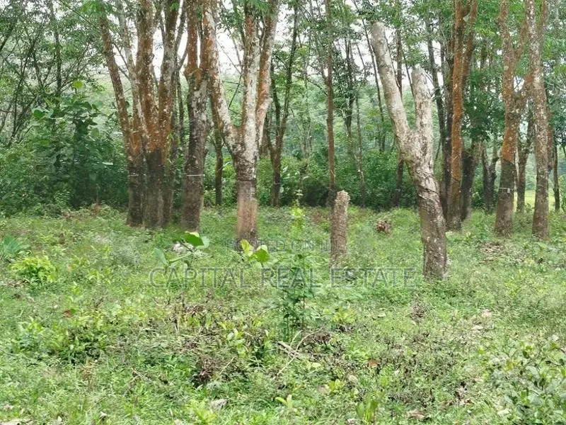 Land For Sale Horana