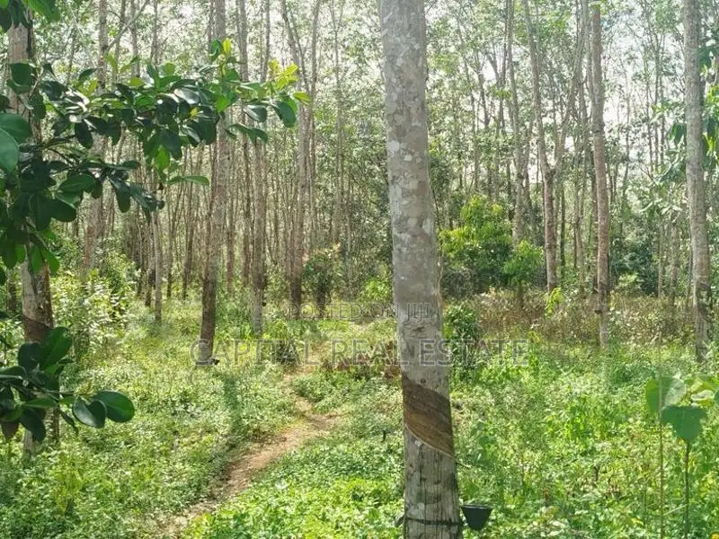 Land For Sale Horana