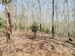 Land For Sale Kalutara