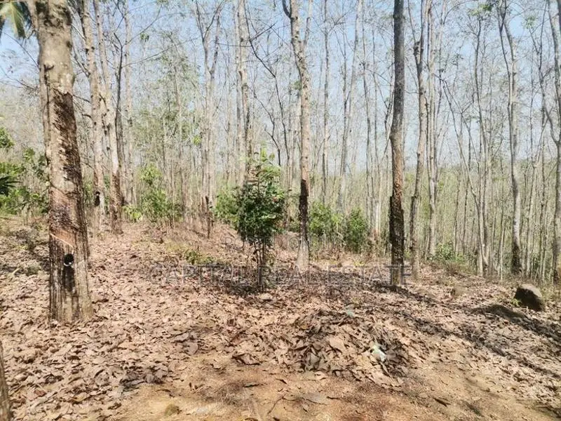 Land For Sale Kalutara