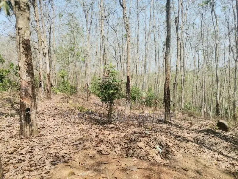Land For Sale Kalutara