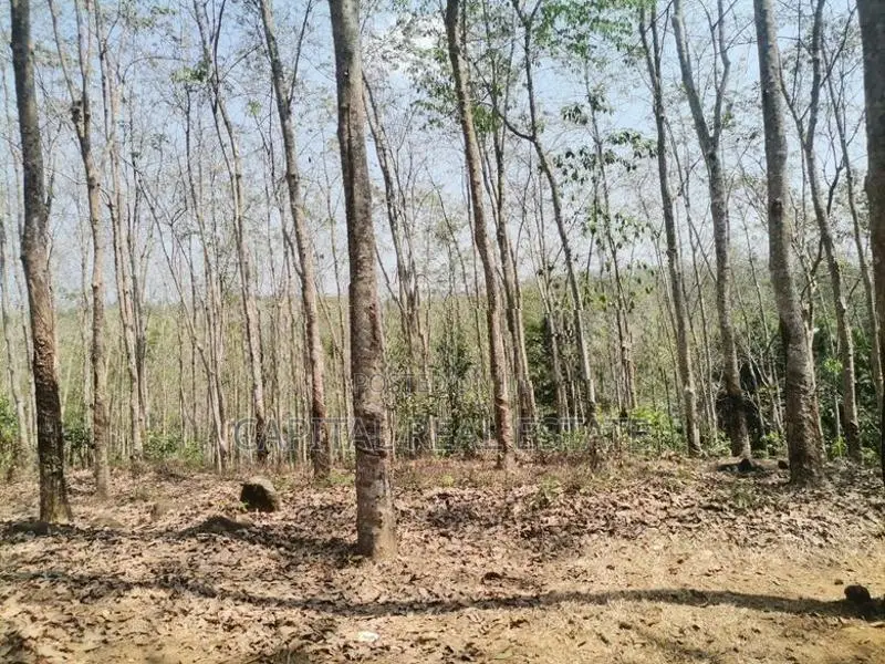 Land For Sale Kalutara