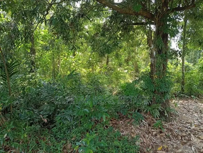 Land For Sale Kalutara