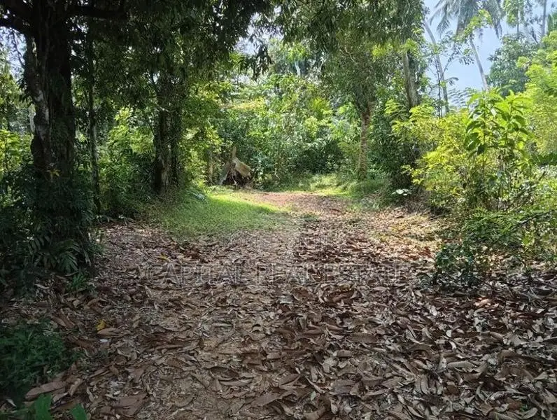 Land For Sale Kalutara