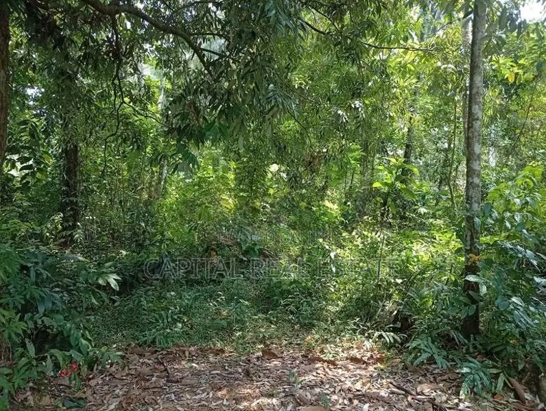 Land For Sale Kalutara