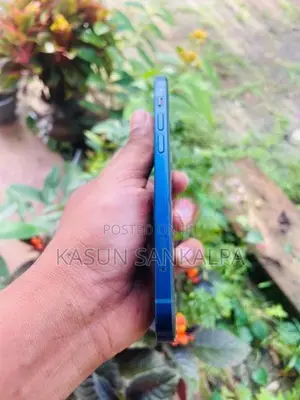 Apple iPhone 12 (Used)