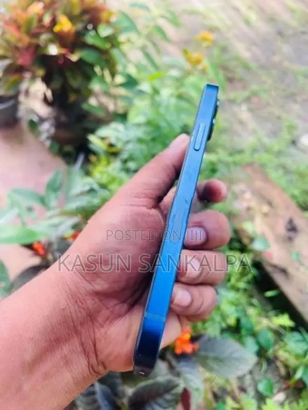 Apple iPhone 12 (Used)