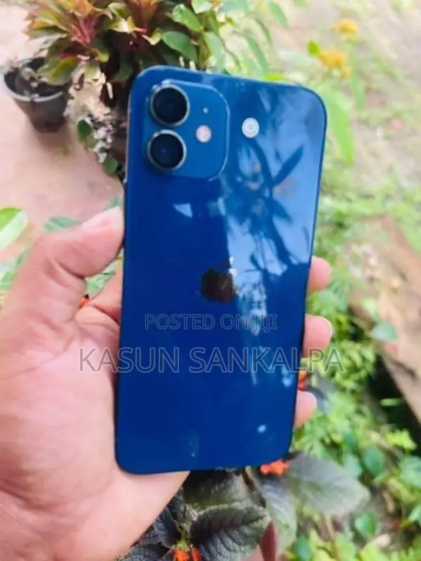 Apple iPhone 12 (Used)