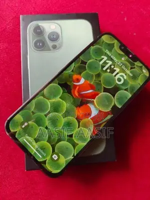 Apple iPhone 13 Pro Max (Used)
