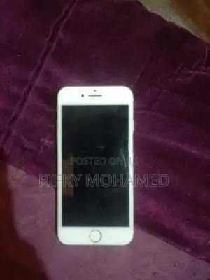 Apple iPhone 7 (Used)