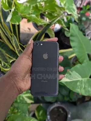 Apple iPhone 8 (Used)