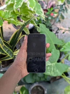 Apple iPhone 8 (Used)