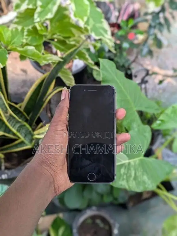 Apple iPhone 8 (Used)