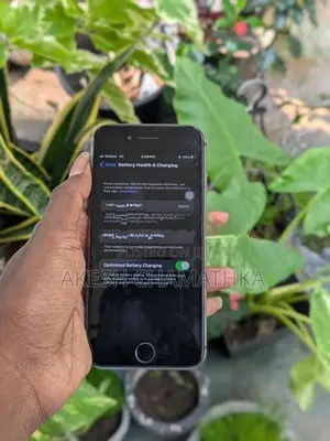 Apple iPhone 8 (Used)