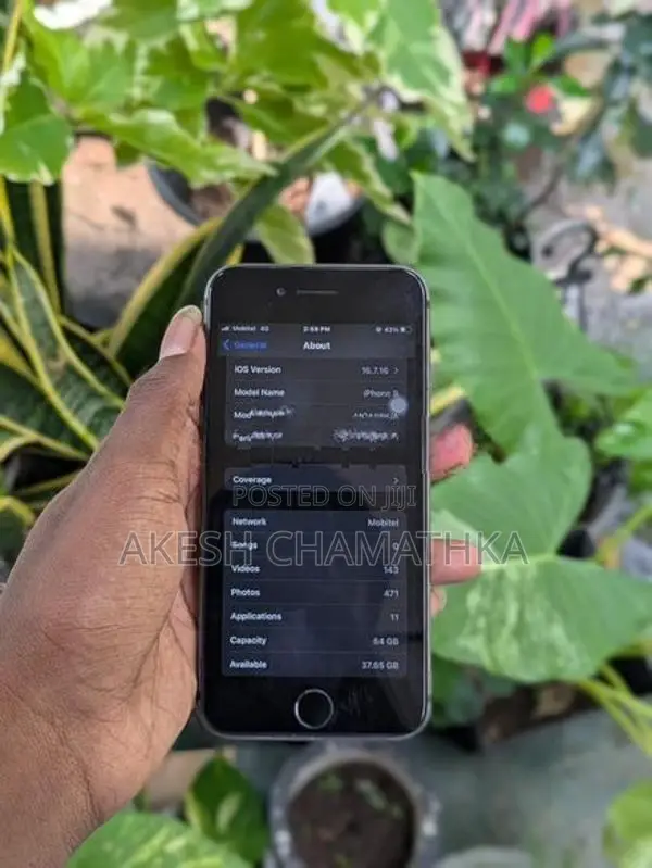 Apple iPhone 8 (Used)