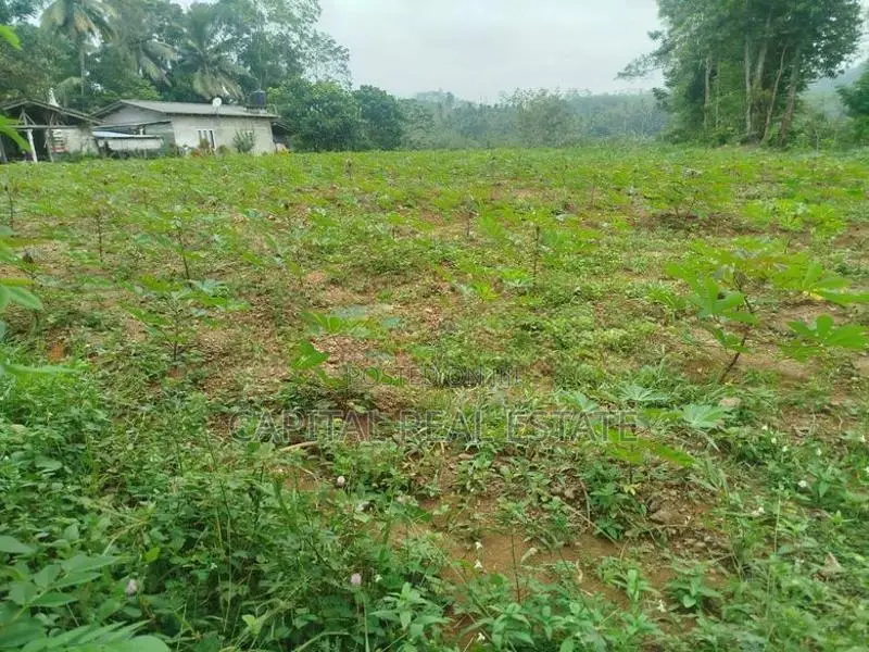 Land For Sale IN Millaniya Kalutara
