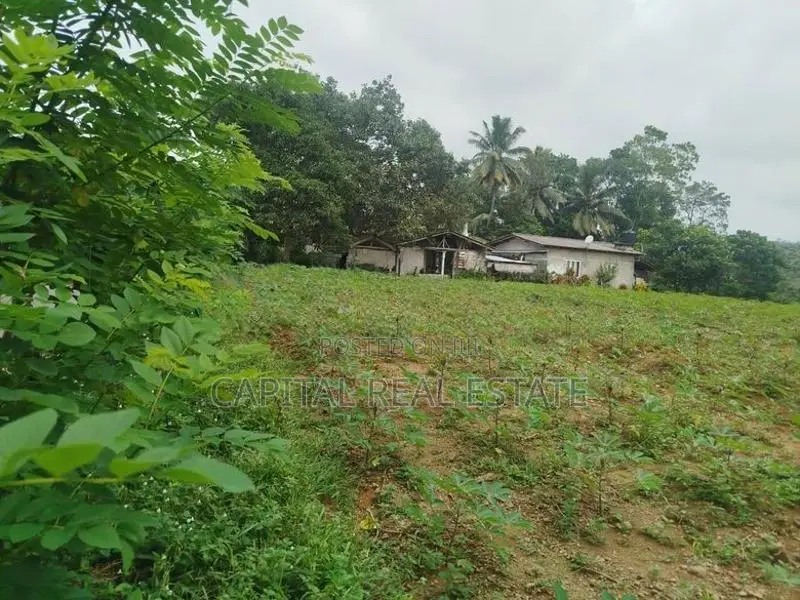 Land For Sale IN Millaniya Kalutara