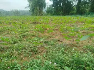 Land For Sale IN Millaniya Kalutara