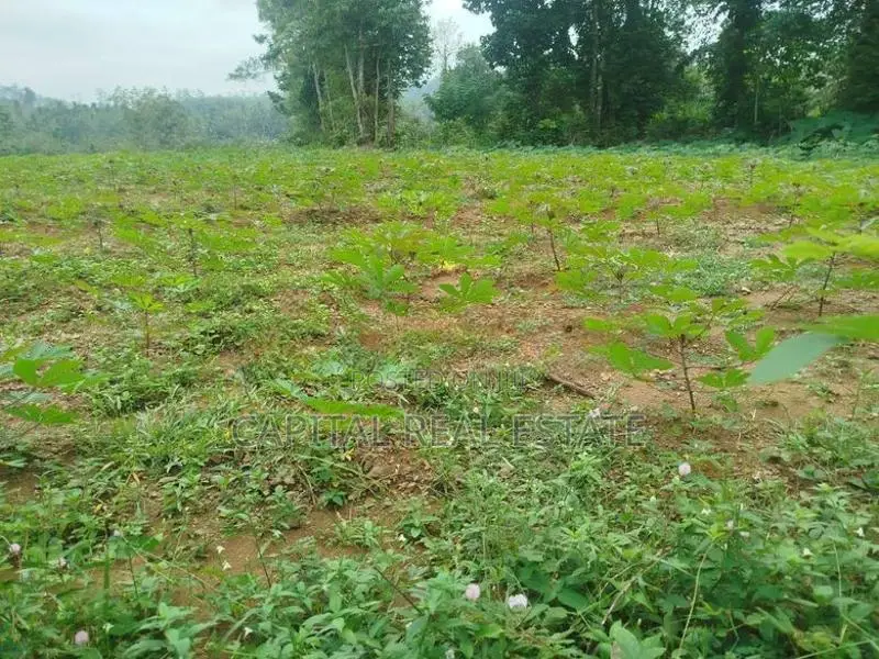 Land For Sale IN Millaniya Kalutara