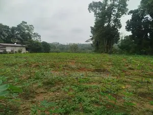 Land For Sale IN Millaniya Kalutara