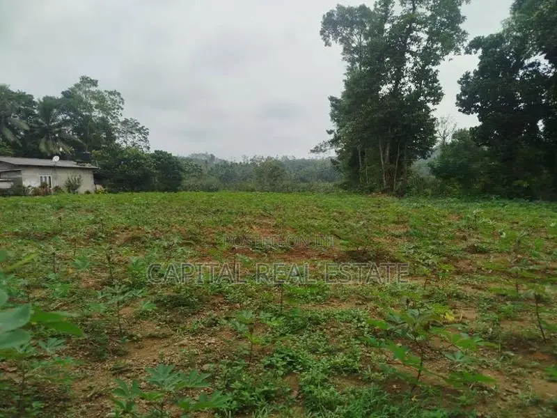 Land For Sale IN Millaniya Kalutara