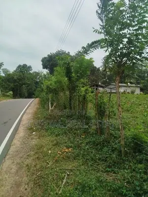 Land For Sale IN Millaniya Kalutara