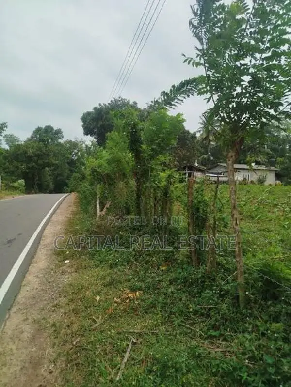 Land For Sale IN Millaniya Kalutara