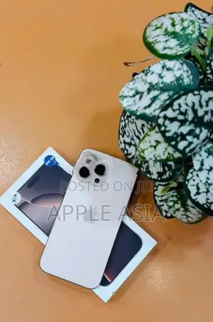 Apple iPhone 16 Pro Max (Used)