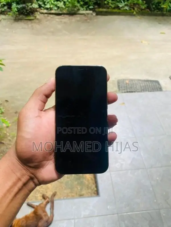Apple iPhone 12 Pro (Used)