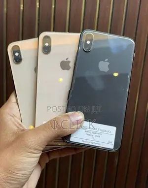 Apple iPhone XS 256GB (Used)