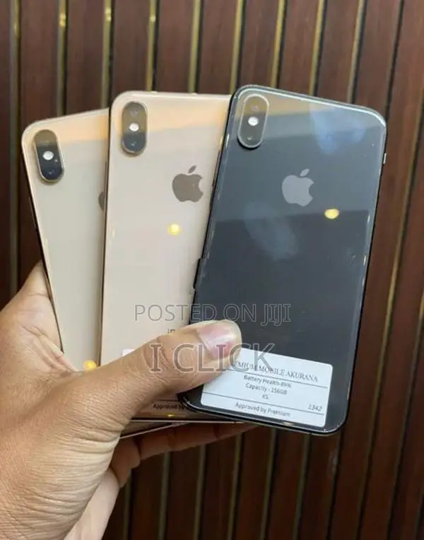 Apple iPhone XS 256GB (Used)