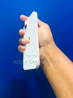 Apple iPhone 13 (Used)