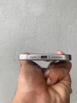 Apple iPhone 15 Pro Max 256GB (Used)